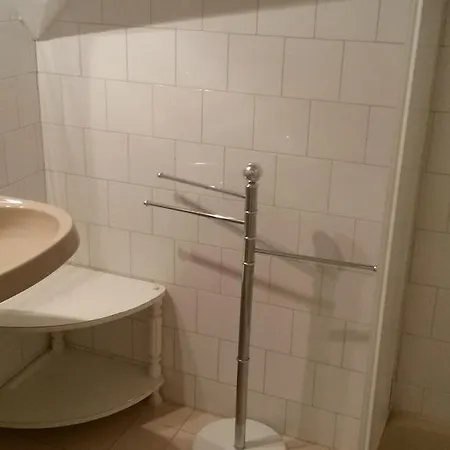 Ezust Fenyo Vendeghaz