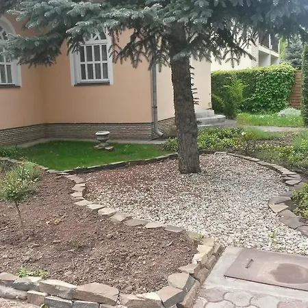 Ezust Fenyo Vendeghaz