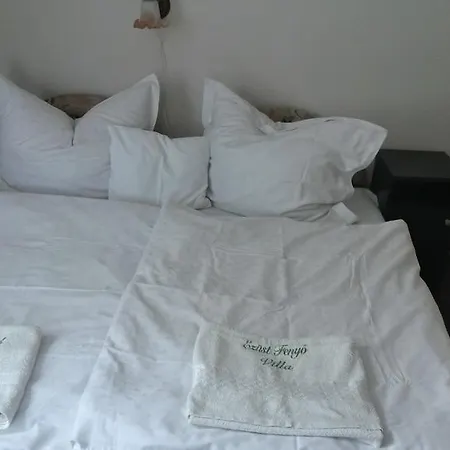 Casa de hóspedes Ezust Fenyo Vendeghaz Siófok