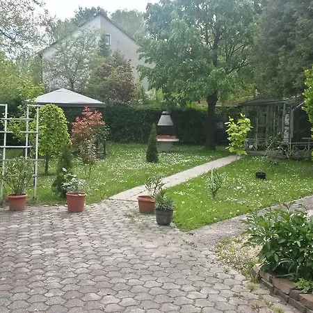 Ezust Fenyo Vendeghaz