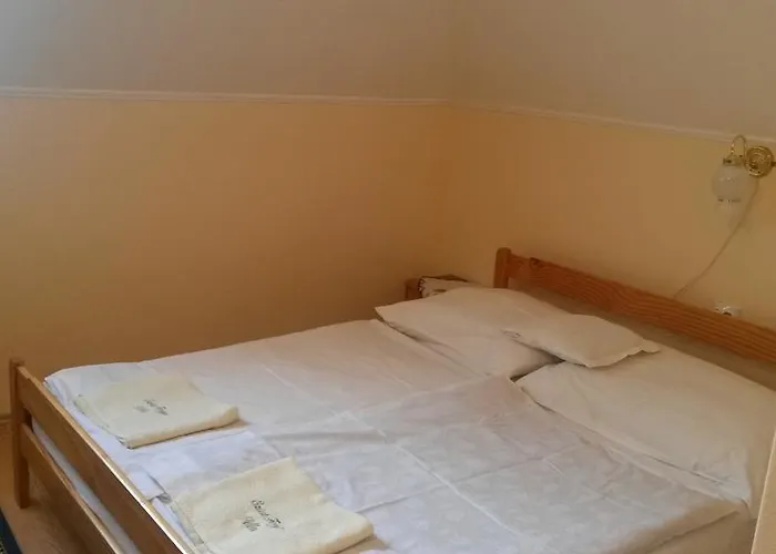 Gasthuis Ezust Fenyo Vendeghaz *